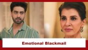 Yeh Rishta Kya Kehlata Hai Upcoming Twist: Dadisa emotionally blackmails Armaan; hides the truth from Abhira 954653