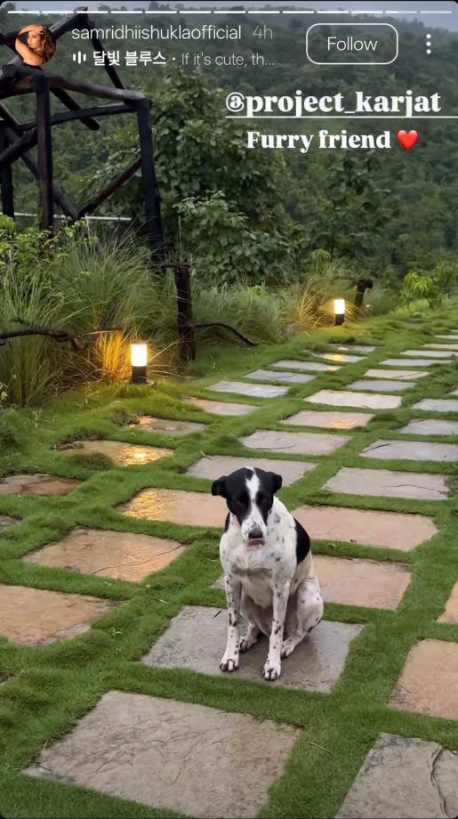 Yeh Rishta Kya Kehlata Hai's Samridhii Shukla Skips Shoot To Enjoy Monsoon Vibe - See How? 954827