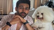 A Taste of Joy: Kartik Aaryan's Instagram Delight 963433