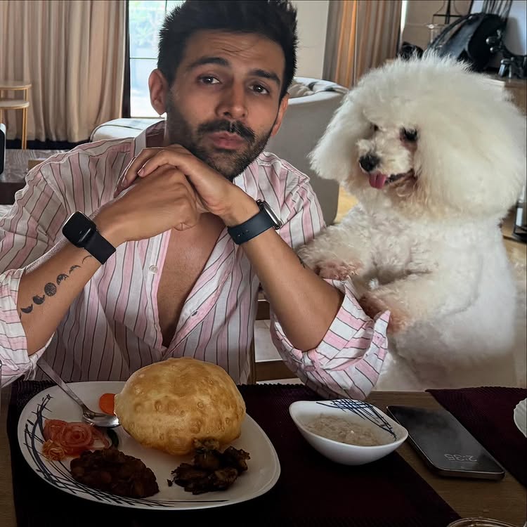 A Taste of Joy: Kartik Aaryan's Instagram Delight 963434