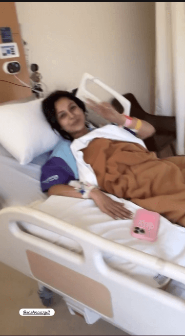 Actress Shehnaaz Gill Hospitalized 961128