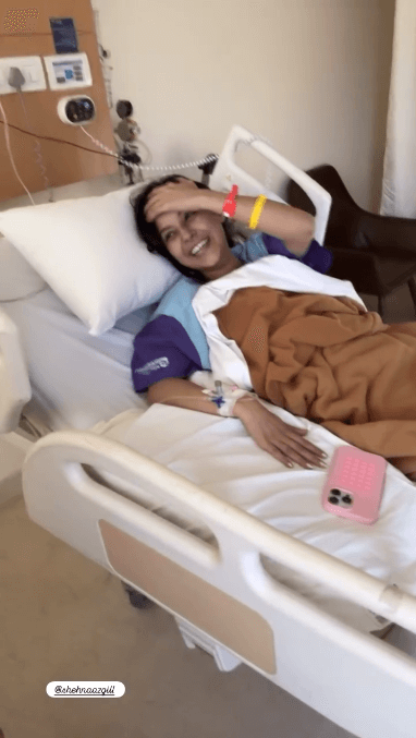 Actress Shehnaaz Gill Hospitalized 961129