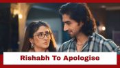 Bade Achhe Lagte Hain - Naya Season Upcoming Twist: Bhagyashree's changed tough persona post leap; Rishabh eager to apologise 962871