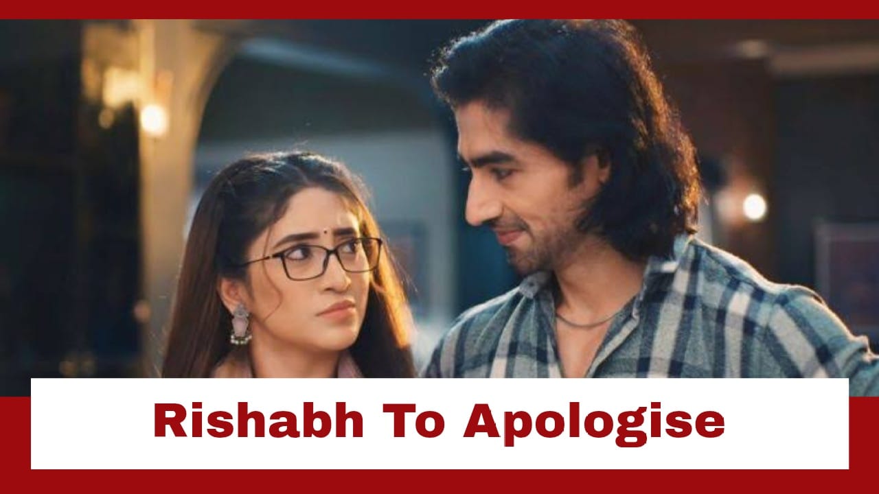 Bade Achhe Lagte Hain - Naya Season Upcoming Twist: Bhagyashree's changed tough persona post leap; Rishabh eager to apologise 962871