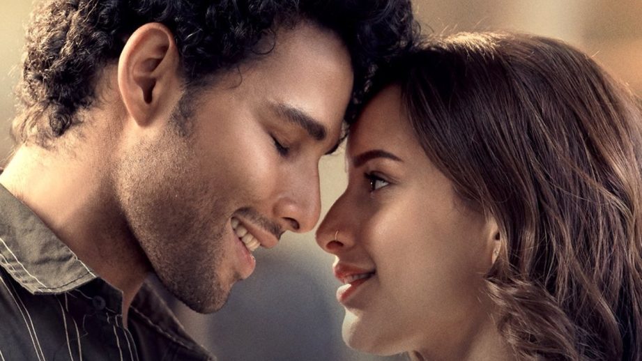 Dhadak 2 Box Office Collection Day 15: Triptii Dimri & Siddhant Chaturvedi's Film Earns 22.33 Cr 963438