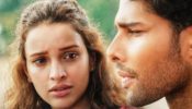 Dhadak 2 Box Office Collection Day 29: Triptii Dimri and Siddhant Chaturvedi's film hits 23.37 crores 965676