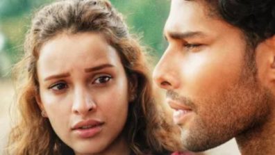 Dhadak 2 Box Office Collection Day 29: Triptii Dimri and Siddhant Chaturvedi’s film hits 23.37 crores