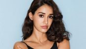 Disha Patani's Hot Dance Take On 'Jiya Jale' Song Disappoints Fans: "The Track Has Been Misused" 960958