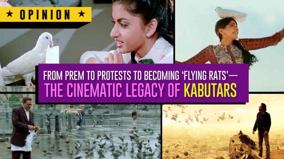 From Prem to Protests to Becoming ‘Flying Rats’— The Cinematic Legacy of Kabutars 964219