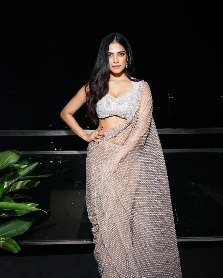Happy Birthday, Malavika Mohanan! 10 Times She Stunned Everyone with Her Unmatched Hotness & Best Outfits at Events 960990