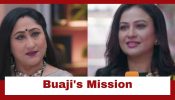 Jaane Anjaane Hum Mile Upcoming Twist: OMG!! Neeta Chawla gets conscious; Buaji gets on a mission 964468