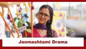 Kabhi Neem Neem Kabhi Shahad Shahad Upcoming Twist: Katha invites UV's mother for Janmashtami; Will the truth come out? 962703