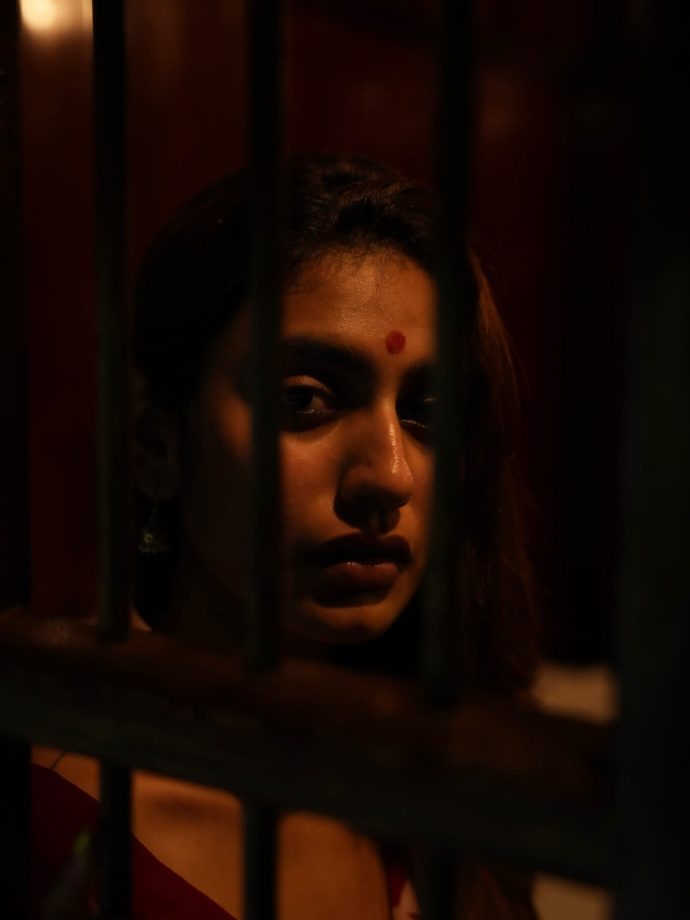 Priya Prakash Varrier Embraces Winter Vibes in Traditional Red Saree 962982