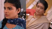 Saru Serial Spoiler: Kamini Chokes Sadanand, Saru Becomes Suspicious 964486
