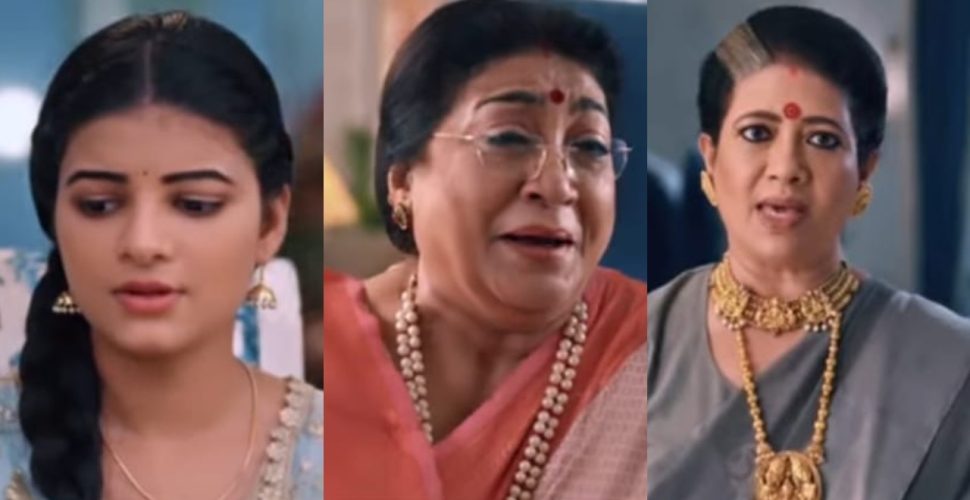 Saru Serial Spoiler: Will Kamini's Murder Conspiracy Stop Annapurna From Meeting Her Granddaughter? 962199