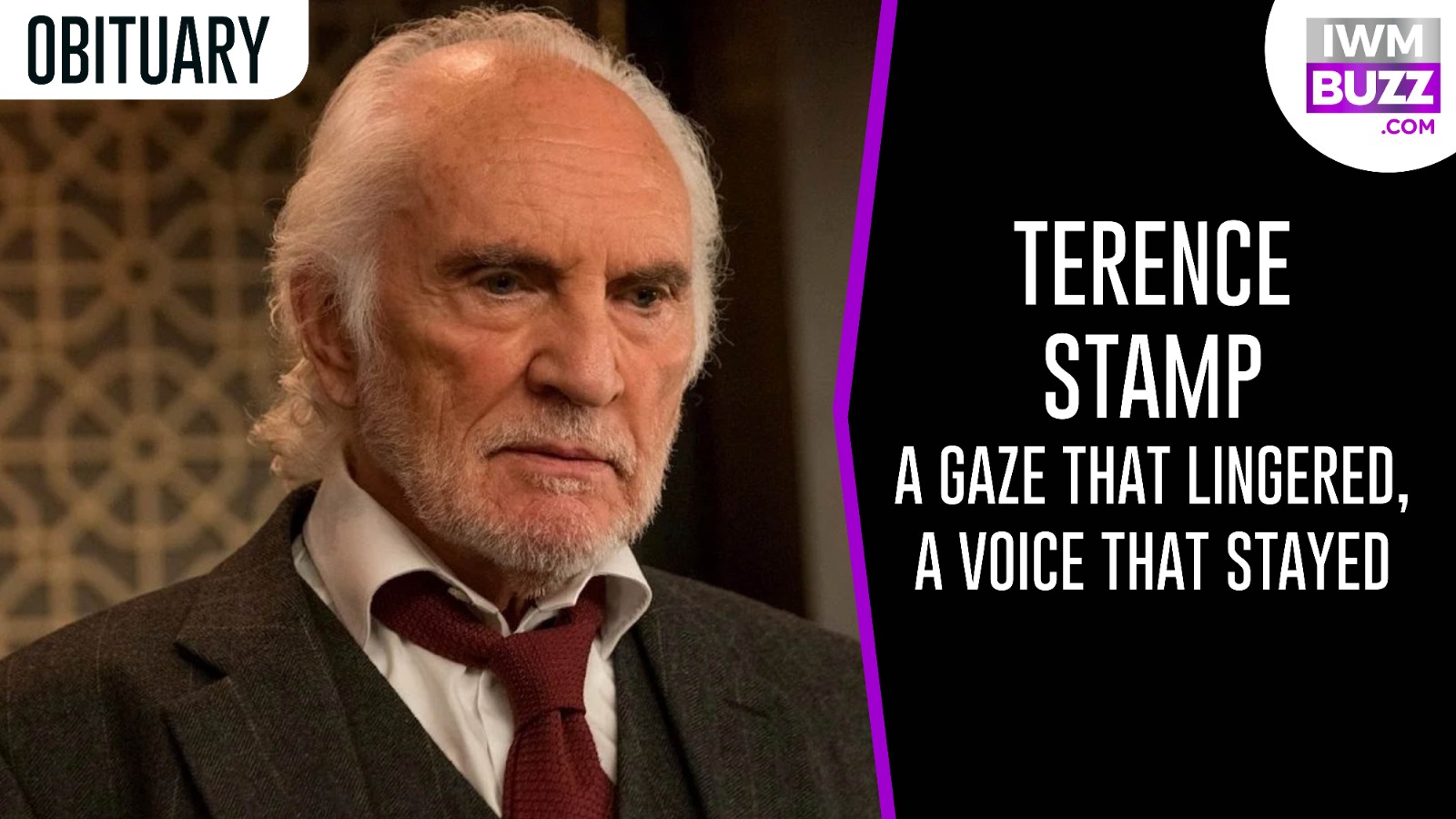 Terence Stamp—A Gaze That Lingered, A Voice That Stayed 963658