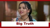 Vasudha Upcoming Twist: Vasudha finds a big truth; Will she be able to save Avinash? 960354
