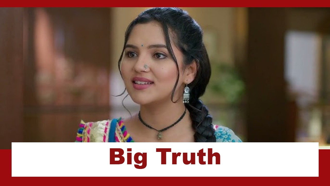 Vasudha Upcoming Twist: Vasudha finds a big truth; Will she be able to save Avinash? 960354