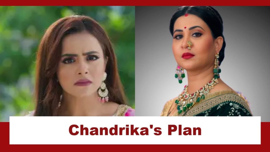 Vasudha Upcoming Twist: Vasudha hides in Karishma's house; Will Chandrika's plan to corner Karishma work? 964288