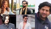 5 Bigg Boss Winners Who Failed To Capitalize On Their Victory 967865