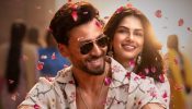 Baaghi 4 Box Office Collection Day 15: Earns 52.64 crores 969259