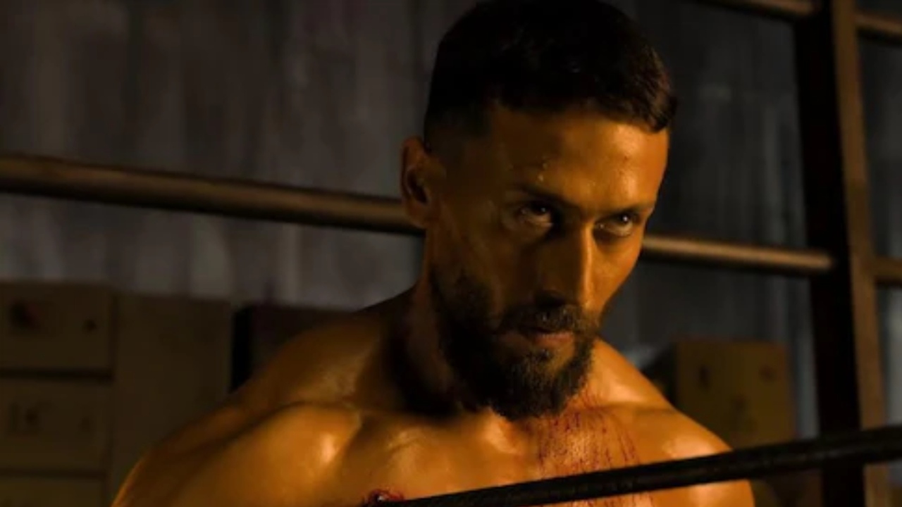 Baaghi 4 Box Office Collection Day 17: Earns 52.94 crores 969449