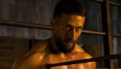 Baaghi 4 Box Office Collection Day 8: The film completes the journey of 45.75 crores 968006