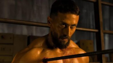 Baaghi 4 Box Office Collection Day 8: The film completes the journey of 45.75 crores