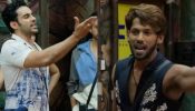 Bigg Boss 19: Baseer Tags Abhishek's Captaincy Worst, Argument Ignites 969853