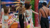 Bigg Boss 19: From Fighting To Flirting? Farhana & Baseer's Banter Raises Eyebrows 966142