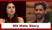 Bigg Boss 19: Gaurav calls Baseer and Farrhana's rapport a 'hit love story'; Farrhana calls it a 'Hit Hate Story' 966682