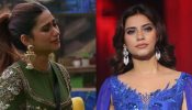 Bigg Boss 19: Nagma Mirajkar Reacts to Eviction with Emotional Instagram Post; Fans Call Decision ‘Unfair’ 968173