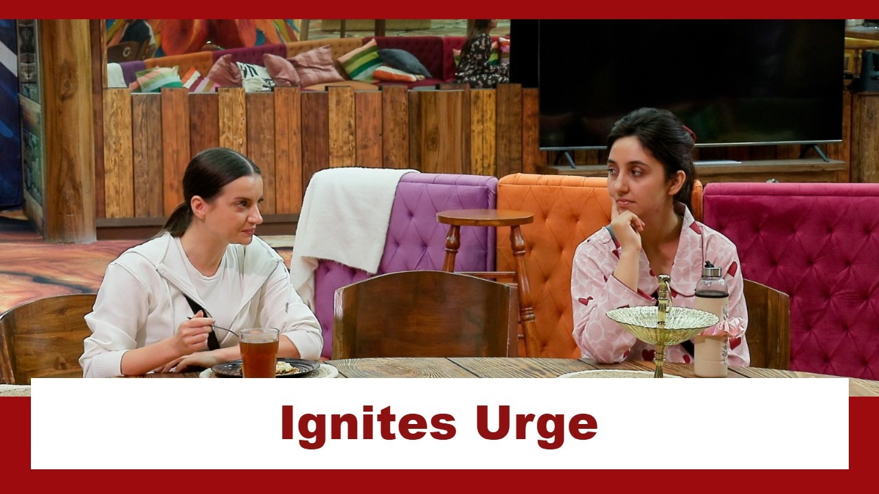 Bigg Boss 19: Natalia cooks omelette; ignites the urge for global flavours in the kitchen 966263