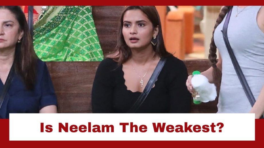 Bigg Boss 19: Neelam aims for captaincy; shocked by claims of being the 'weakest' 968502
