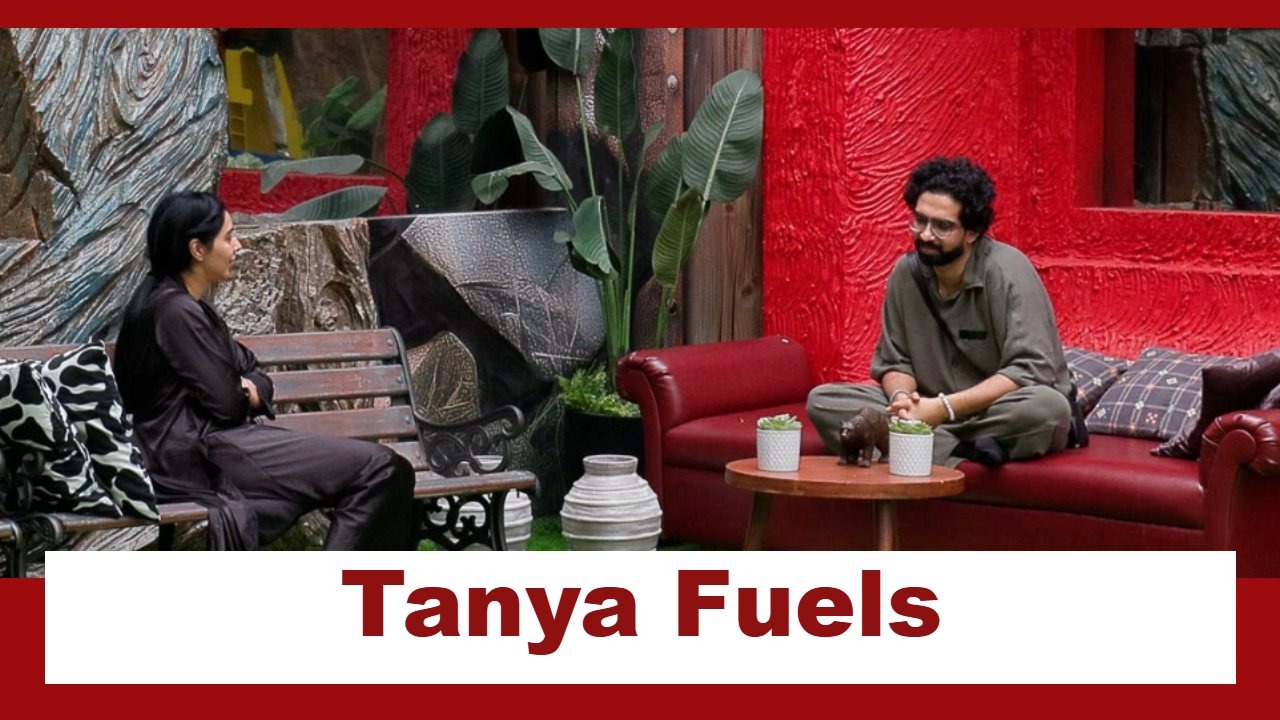 Bigg Boss 19: Tanya fuels Amaal against Baseer; Is there a fight on the card? 967266