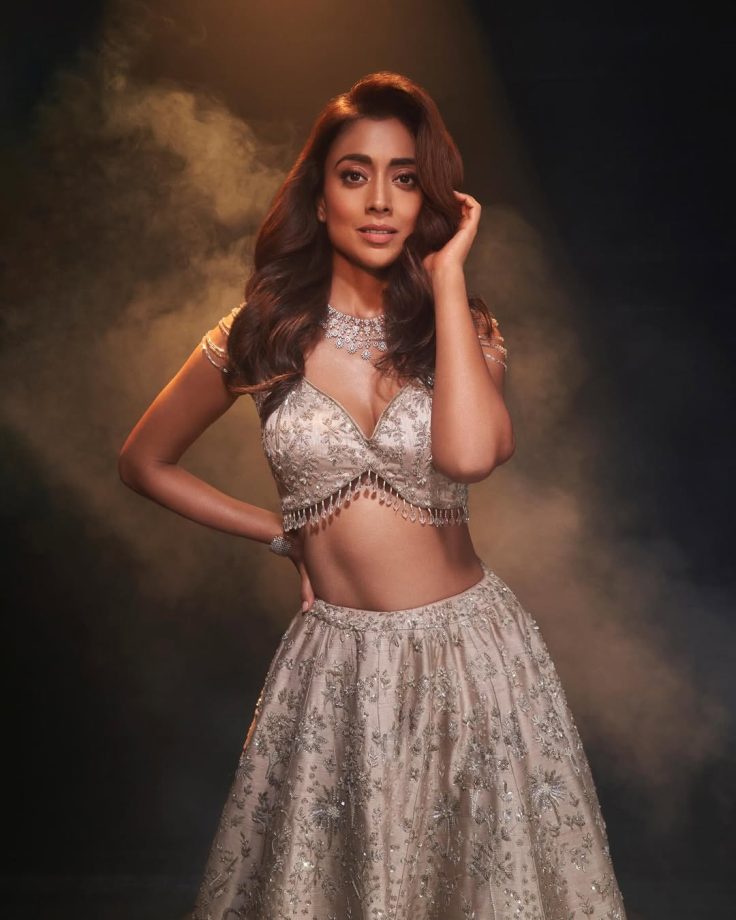 Fashion Face-Off: Raashii Khanna vs Shriya Saran; Who Slayed the Lehenga Look Better? 970098
