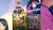 From Saiyaara to Mannu Kya Karegga? Here, let’s have a look at the films that bring back the charm of Indian melodies on the big screen 966397
