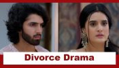 Jaane Anjaane Hum Mile Upcoming Twist: Raghav feels betrayed in love; wants to divorce Reet? 967257