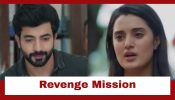 Jaane Anjaane Hum Mile Upcoming Twist: Reet on a revenge mission; Rohit to stand by her 968336