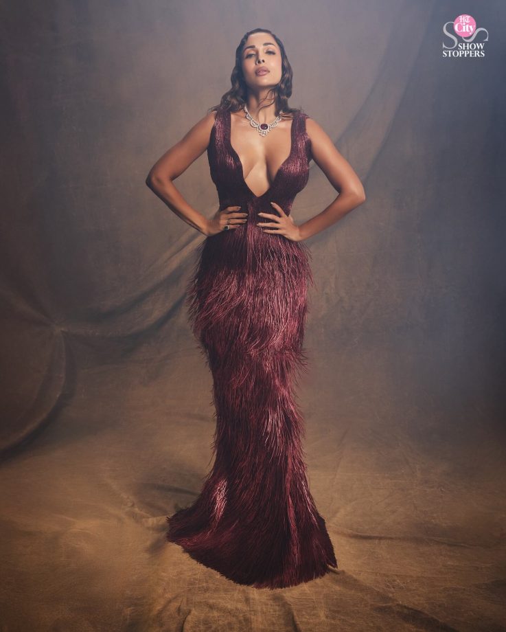 Malaika Arora's Stunning Fashion Statement in Rimzim Dadu’s Couture 967928