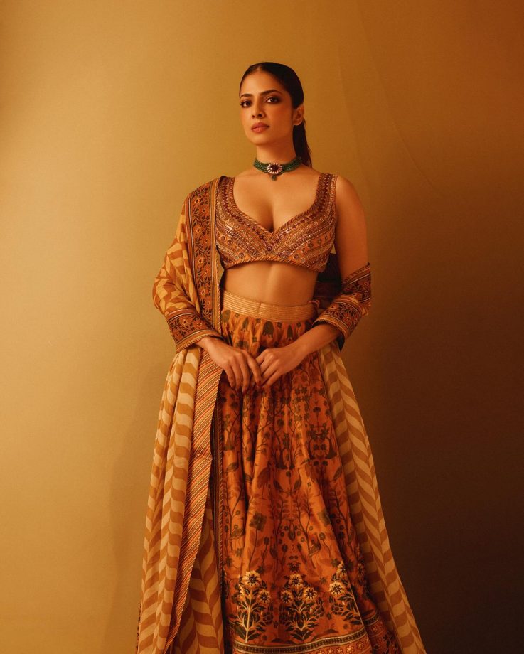 Malavika Mohanan Elevates Ethnic Fashion in a Sultry Orange Lehenga 970245