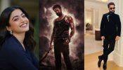Rashmika Mandanna, NTR, Prabhas, and More: How India’s Biggest Pan-India Names Are Dominating the Cinemas and Everyone’s Hearts 968304