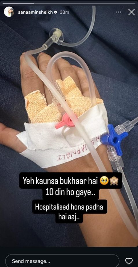 Sana Amin Sheikh Hospitalized After Battling Fever For 10 Days 969804