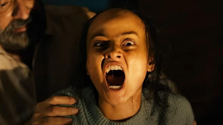 Vash: Level 2 Box Office Collection Day 14: Gujarati horror sequel struggles at the box office; earns 12.32 Cr 967505