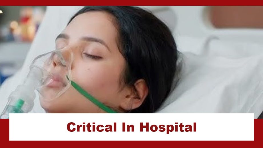 Vasudha Upcoming Twist: Hospital drama to ensue; Vasudha gets critical 969978