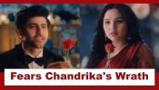 Vasudha Upcoming Twist: Vasudha accepts Dev's love; fears Chandrika's wrath 966949