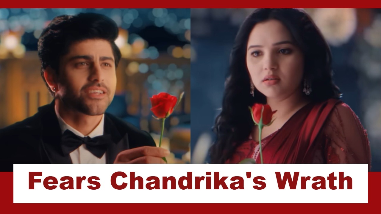 Vasudha Upcoming Twist: Vasudha accepts Dev's love; fears Chandrika's wrath 966949