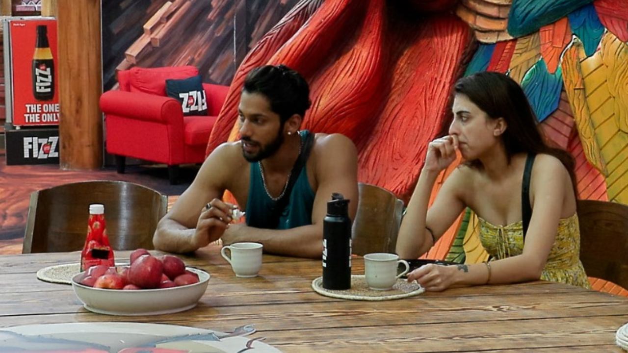 Bigg Boss 19: Baseer Flirts With Neelam, Calls Nehal Stupid For Her Image Game 972015