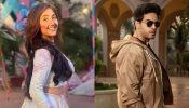 Bigg Boss 19: Gaurav Khanna’s Heartfelt Gesture Towards Ashnoor Kaur Wins Fans’ Hearts - “Like a True Big Brother” 974078