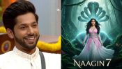 Bigg Boss 19's Baseer Ali To Feature In Ekta Kapoor's Naagin 7? Here's What Reports Say 973908